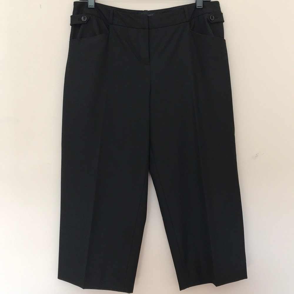 The Limited Capri Pants